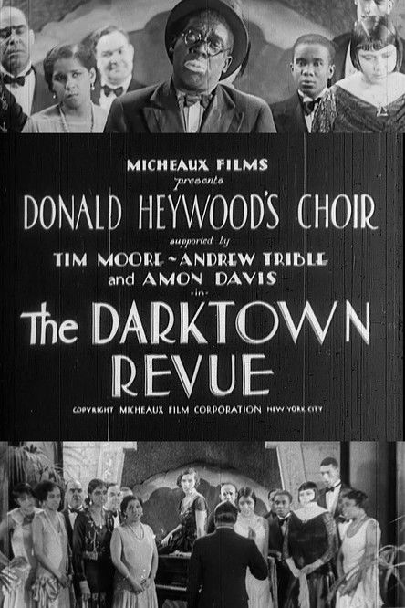 Movie poster for The Darktown Revue (1931)