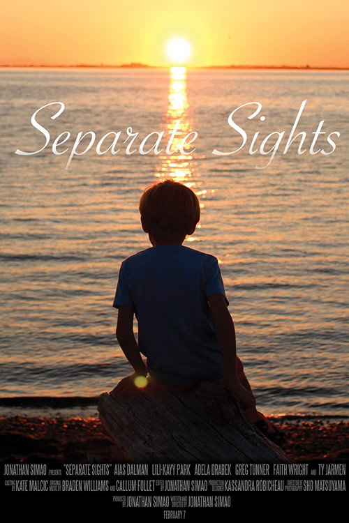 Movie poster for Separate Sights (2020)
