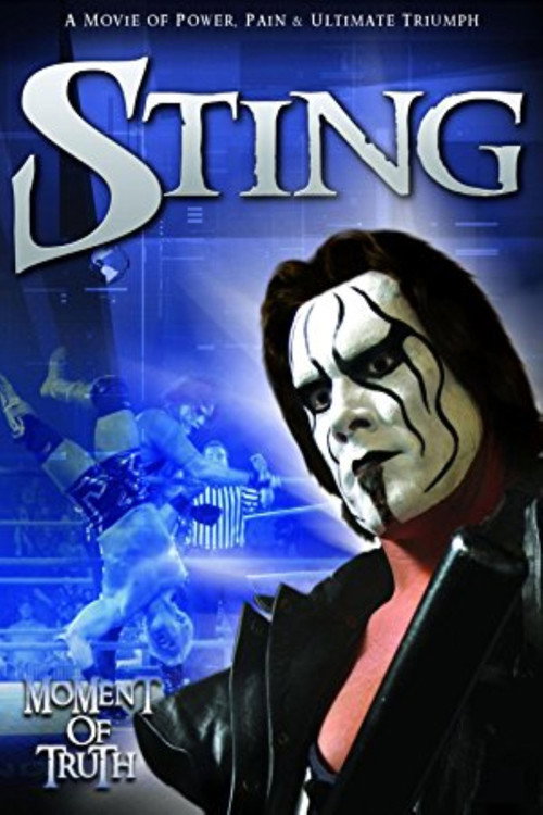 Movie poster for Sting: Moment of Truth (2004)