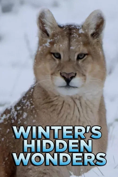 Series poster for Winter's Hidden Wonders (2020)