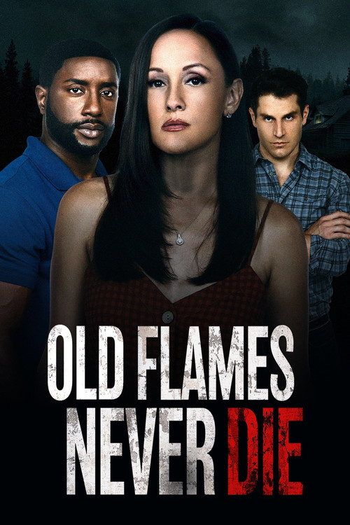 Movie poster for Old Flames Never Die (2022)