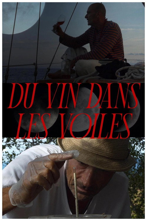 Movie poster for Du vin dans les voiles (2023)