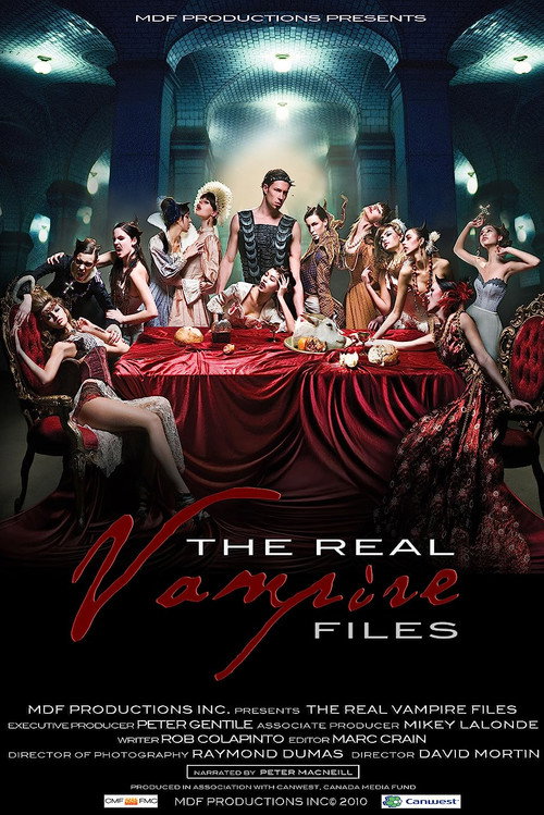 Movie poster for The Real Vampire Files (2010)