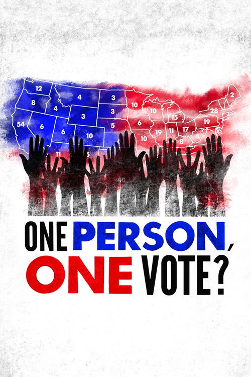 Movie poster for One Person, One Vote? (2024)