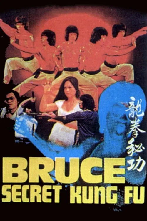 Movie poster for Bruce's Secret Kung Fu (1988)
