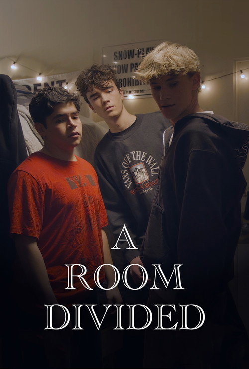 Movie poster for A Room Divided (2024)