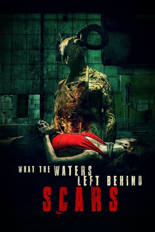 Movie poster for What the Waters Left Behind: Scars (2023)