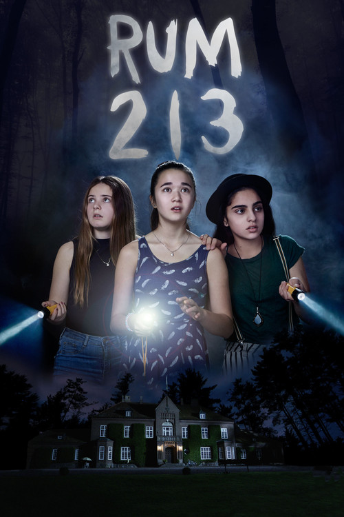 Movie poster for Room 213 (2017)