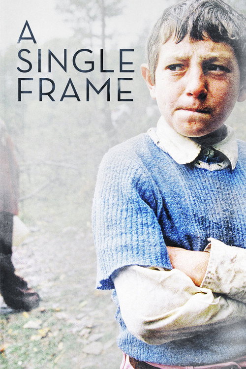 Movie poster for A Single Frame (2015)