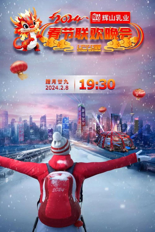 Series poster for 辽宁卫视春节联欢晚会 (1985)