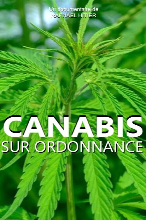 Movie poster for Cannabis sur ordonnance (2017)