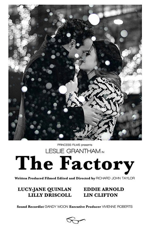 Movie poster for The Factory (2013)