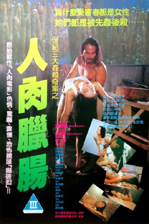 Movie poster for The Unpublicizable File (1993)
