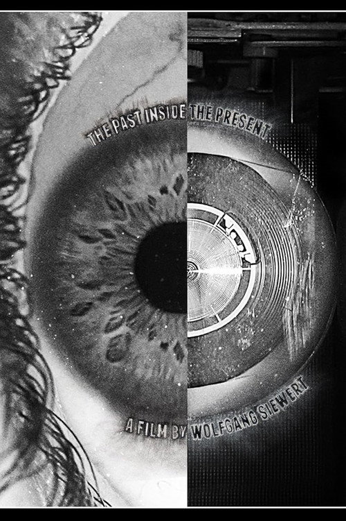 Movie poster for The Past Inside The Present (2016)