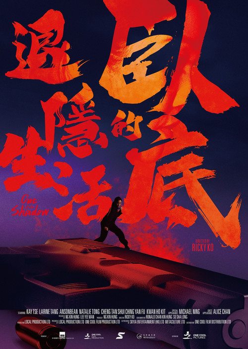 Movie poster for Out of the Shadow (2024)