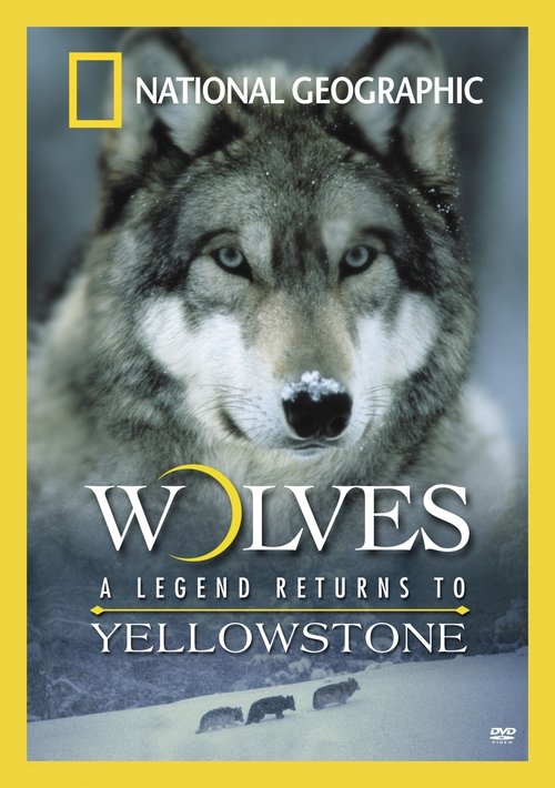 Movie poster for Wolves: A Legend Returns to Yellowstone (2000)