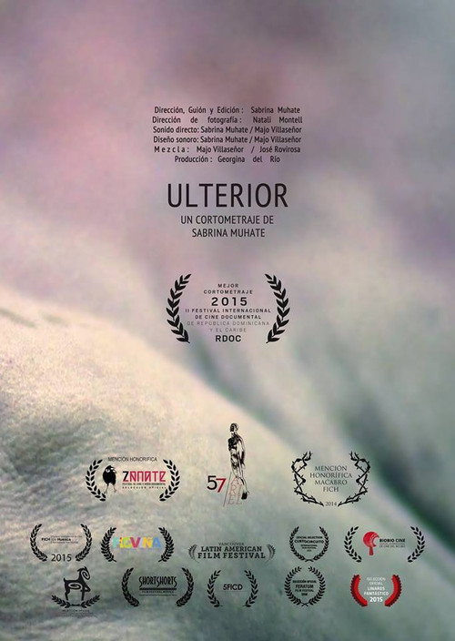 Movie poster for Ulterior (2014)