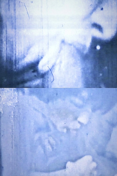 Movie poster for Transfer of Modulation (1969)