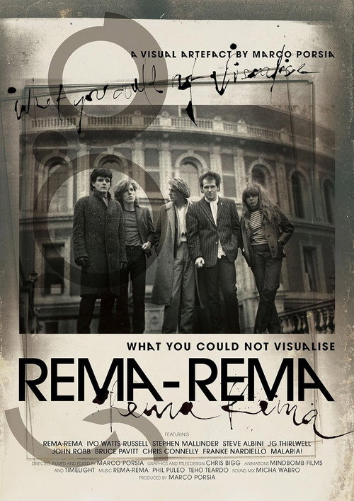 Movie poster for What You Could Not Visualise