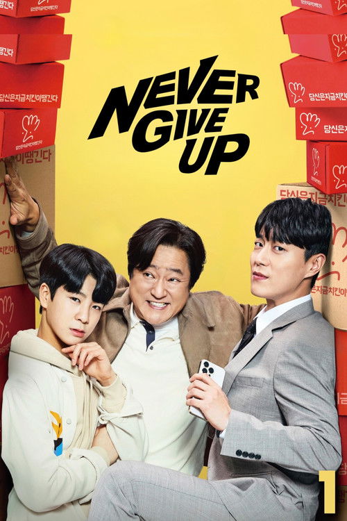 Never Give Up poster
