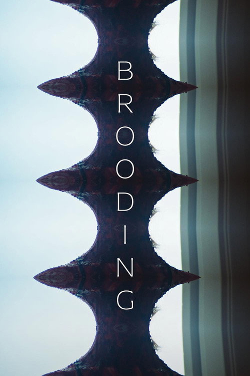 Movie poster for Brooding (2024)