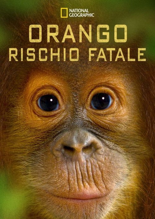 Movie poster for Orango rischio fatale (2015)