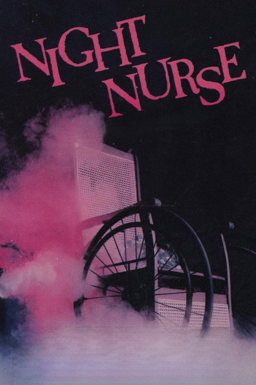 Movie poster for The Night Nurse (1978)