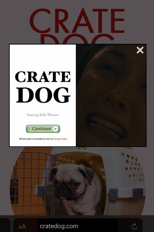 Movie poster for Crate Dog (2024)