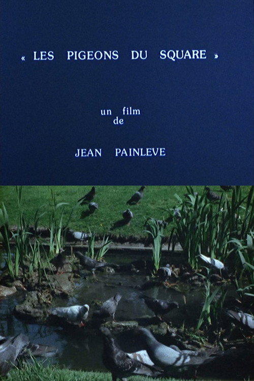 Movie poster for Pigeons in the Square (1982)