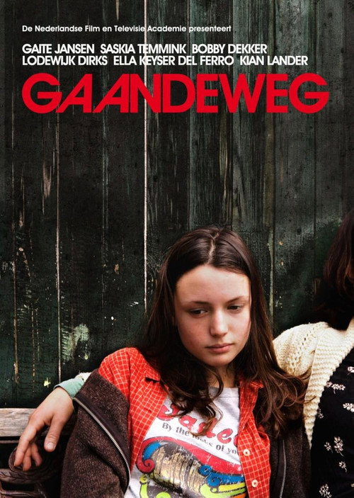 Movie poster for Gaandeweg (2008)