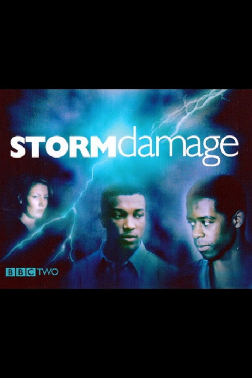 Movie poster for Storm Damage (2000)