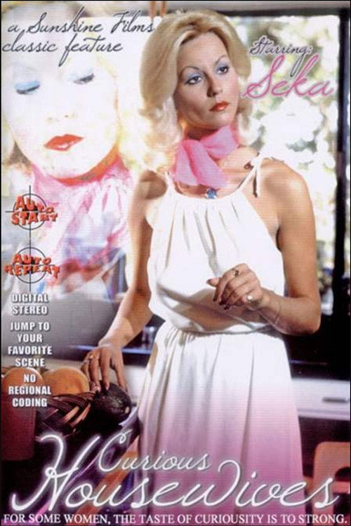 Movie poster for Curious Housewives (2005)