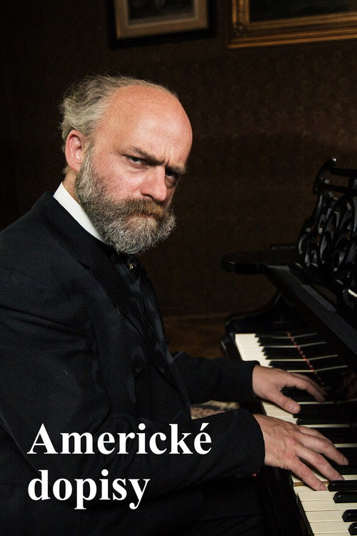 Movie poster for The American Letters (2015)