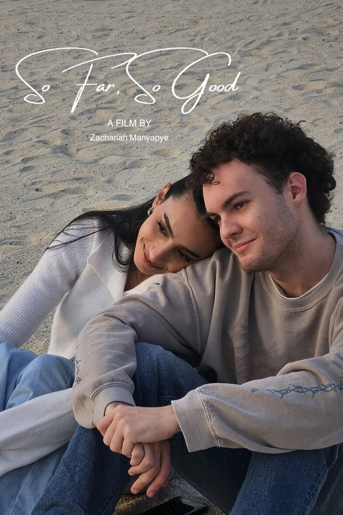 Movie poster for So Far, So Good (2025)