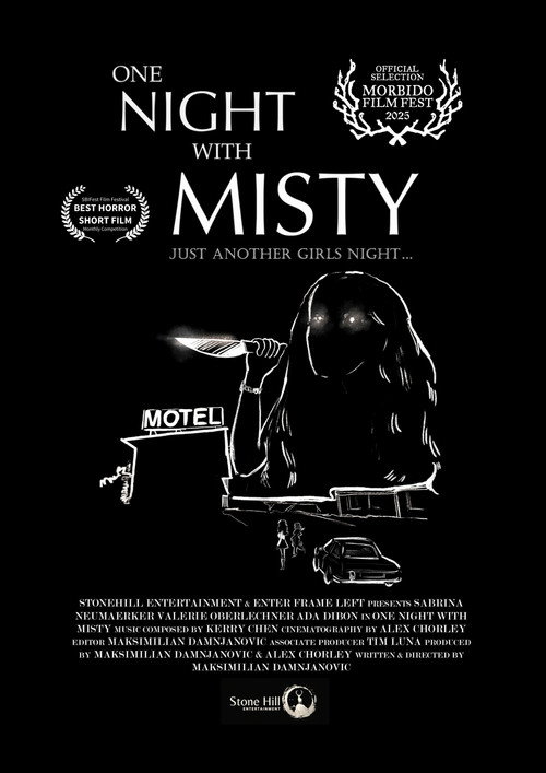 Movie poster for One Night with Misty (2025)