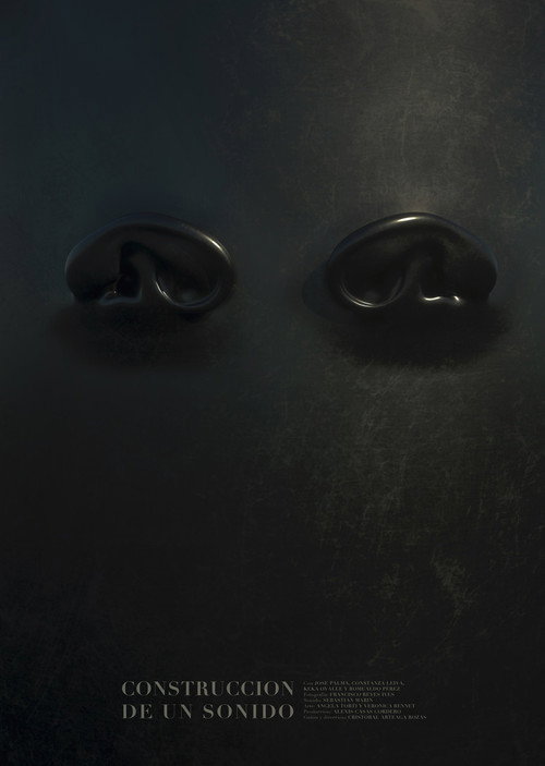 Movie poster for The Construction of a Sound (2021)
