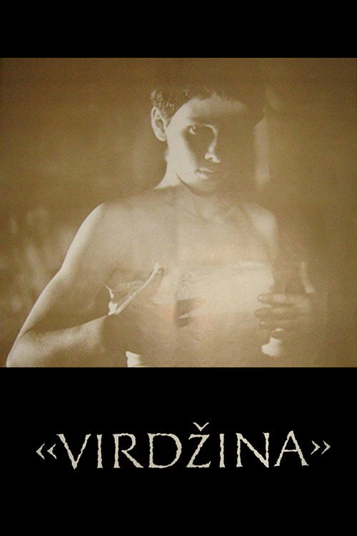 Movie poster for Virgina (1991)