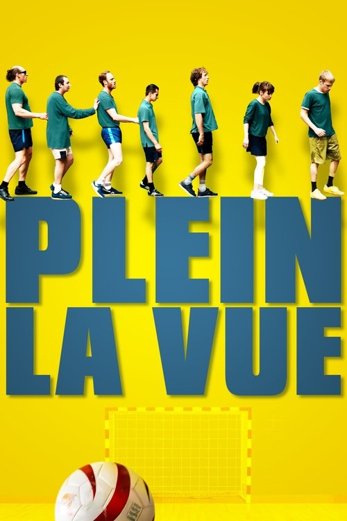 Movie poster for Plein la vue (2019)