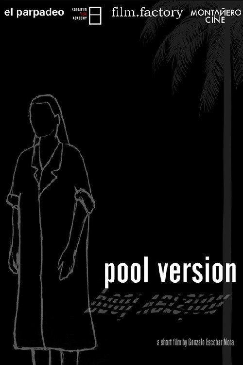 Movie poster for Pool Version (2016)