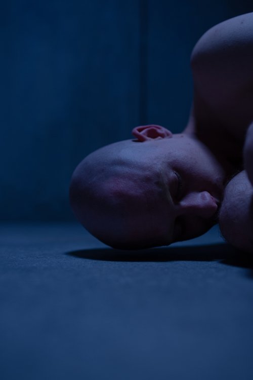 Movie poster for Incarnation (2023)