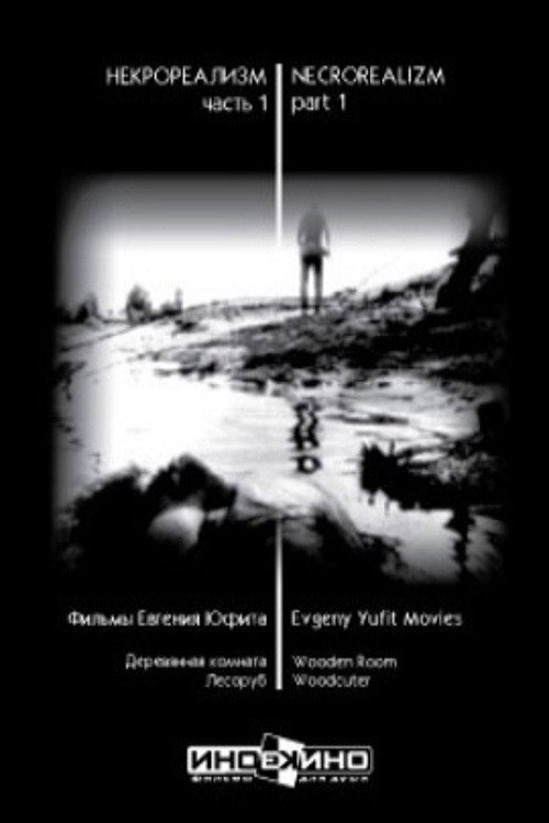 Movie poster for The Wooden Room (1995)