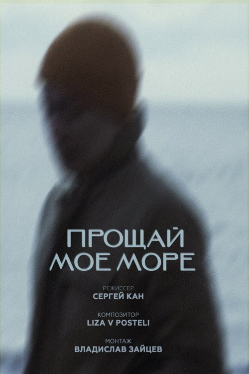Movie poster for Farewell My Sea (2024)