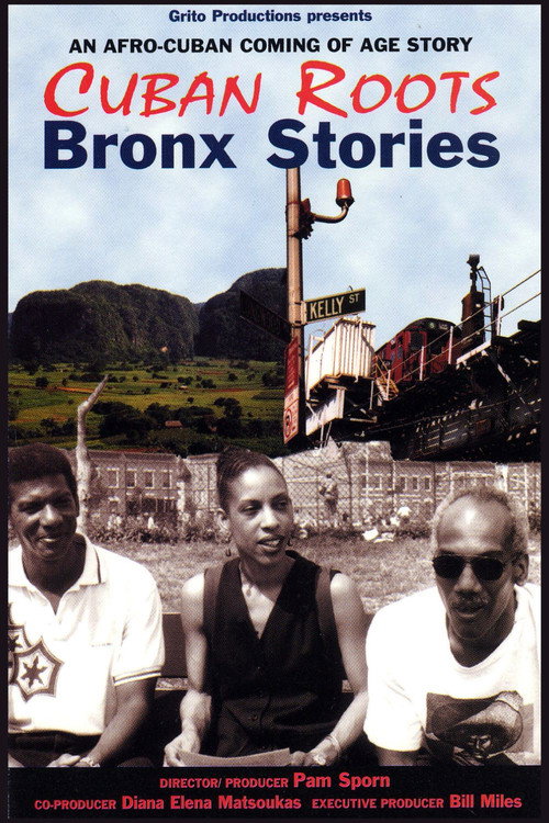 Movie poster for Cuban Roots/Bronx Stories (2000)