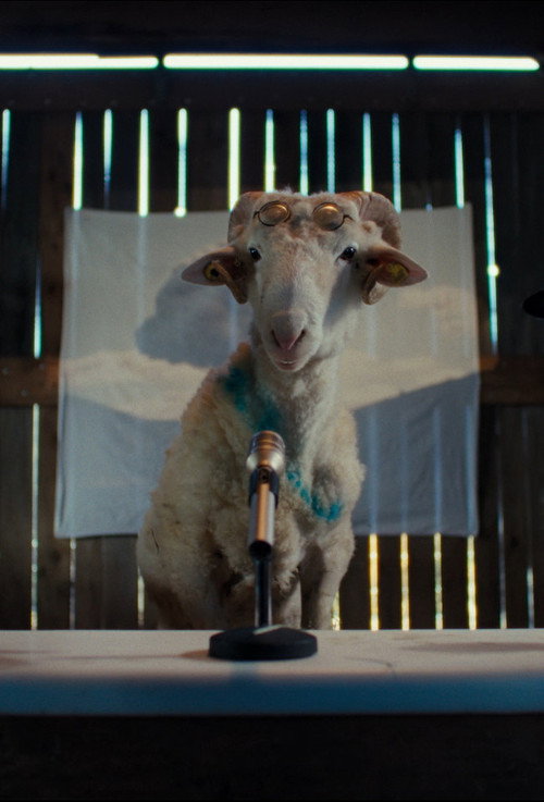 Series poster for Sheep (2026)