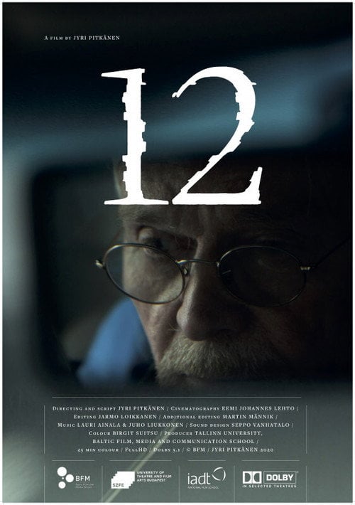 Movie poster for 12 (2020)