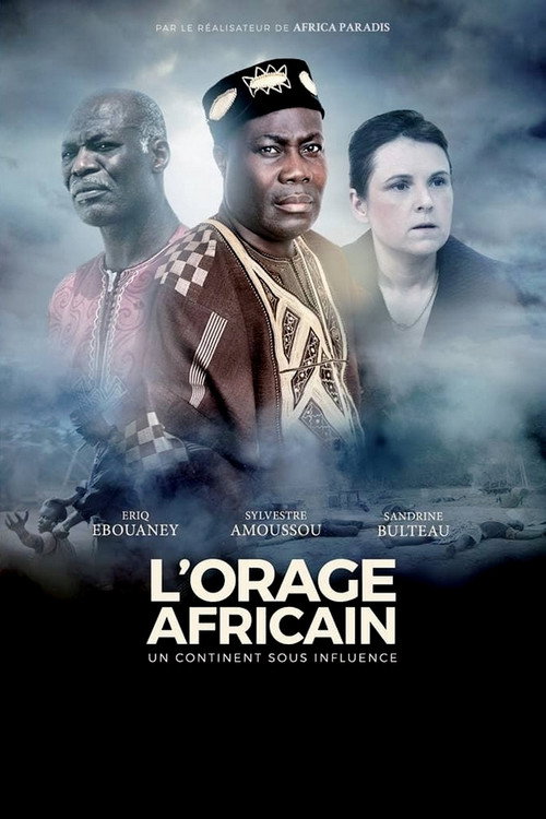 Movie poster for African Storm: A Continent Under Influence (2017)