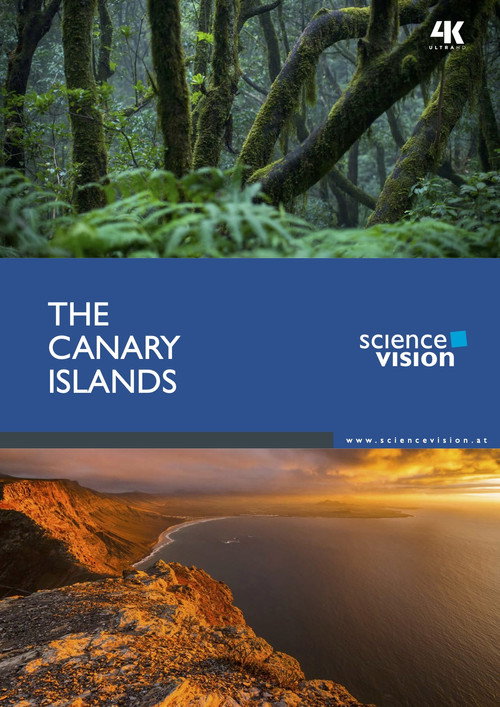 Movie poster for The Canary Islands (2016)