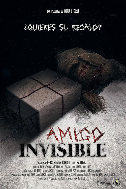 Movie poster for Invisible Friend (2024)