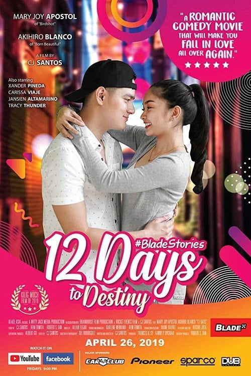 Movie poster for 12 Days to Destiny (2019)
