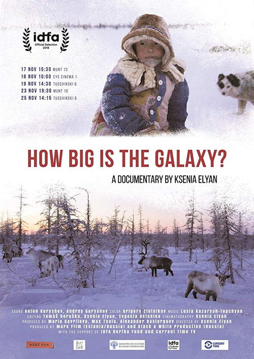 Movie poster for How Big Is the Galaxy? (2018)